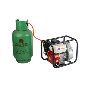 WP20GS/30GS Gas Water Pump